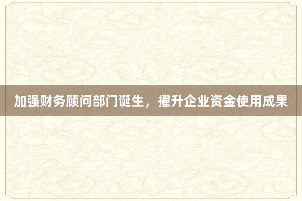 加强财务顾问部门诞生，擢升企业资金使用成果