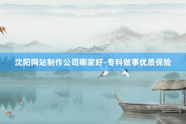 沈阳网站制作公司哪家好-专科做事优质保险