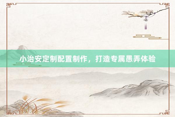 小治安定制配置制作，打造专属愚弄体验