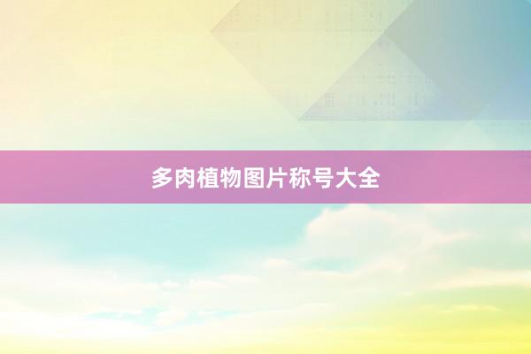 多肉植物图片称号大全