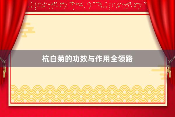 杭白菊的功效与作用全领路