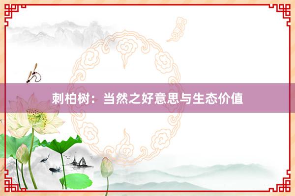 刺柏树：当然之好意思与生态价值