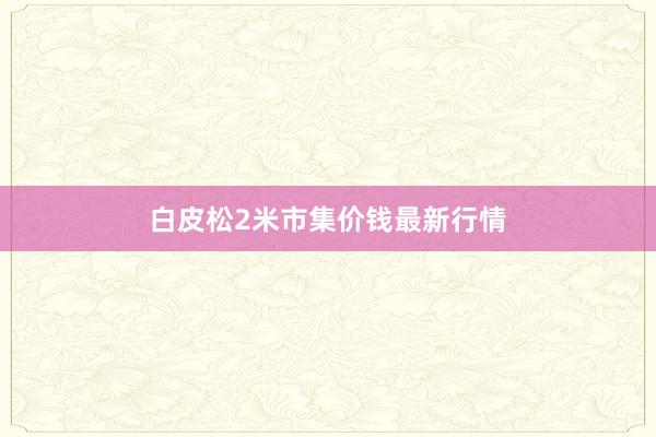 白皮松2米市集价钱最新行情